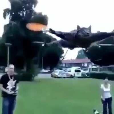 This Says a lot about our society