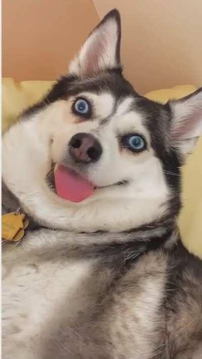 He’s just installing an update