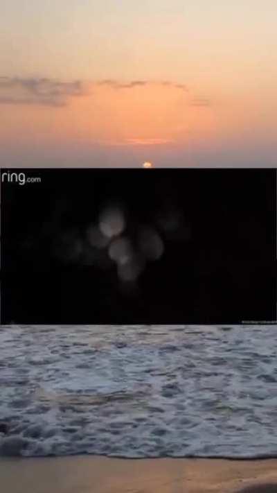 isfp thief caught on camera..