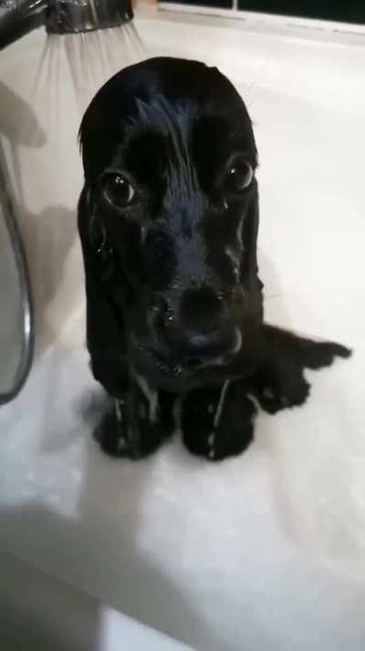 Charm eyes, melt my heart!