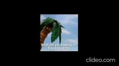 to all the indians who drink coconut water on a daily basis