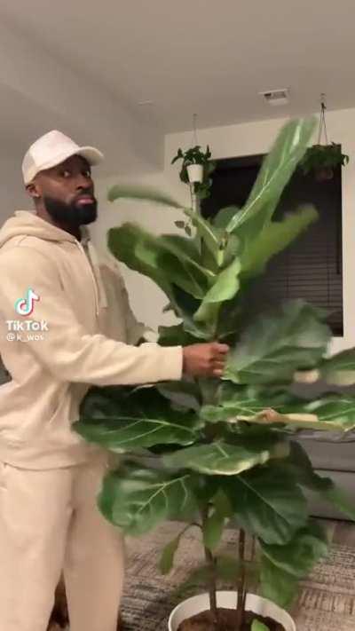 his plant gonna grow up strong and independent