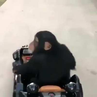 monke kart