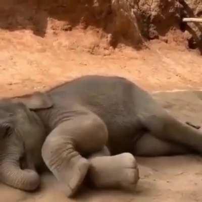 Sorry, Can’t do the interview at this time. I am sleepy