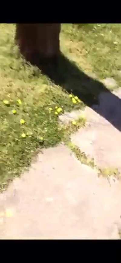 1vs1 To Settle Their Beef