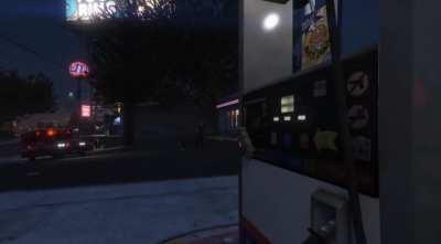 Me and my friend went around Los Santos dressed as zebras and caused mayhem