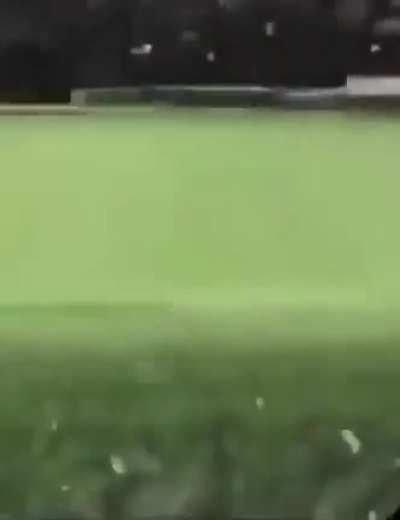 Your deer is: damn distracting