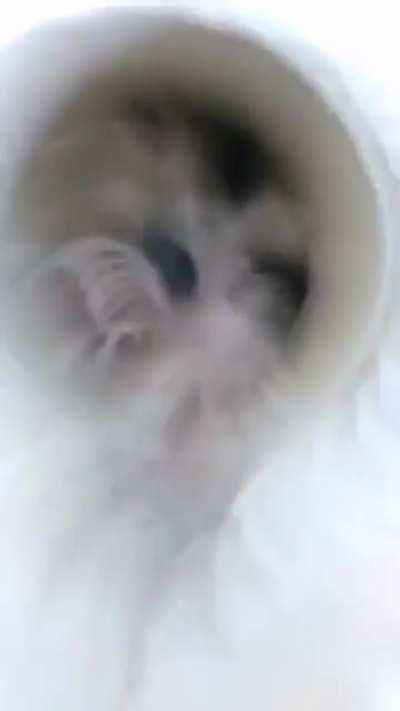 Was not expecting this