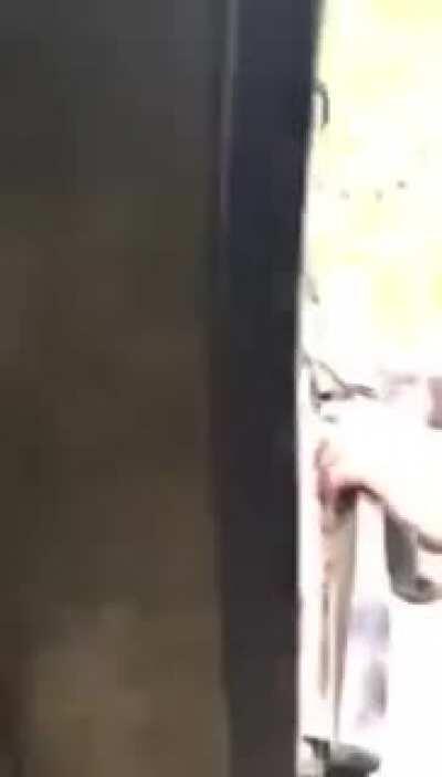 DBS trying to pet a bear cub!