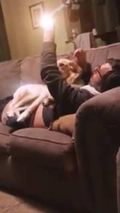 SicKO GuY lAuNcHes an atoMIc boOmb on pOoR doG