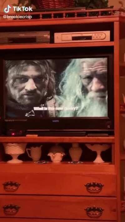 Me in 50 years watching LOTR with my grandchildren for the first time