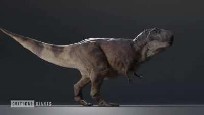 2021 T-Rex Follow up, A little video turnaround of the full model!