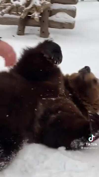 Ah yes just an average Tuesday