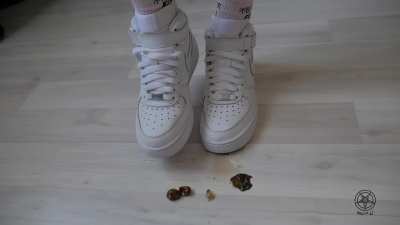 I have vids of women crushing in sneakers and boots, just message me if you’re interested.