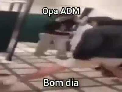 Bom