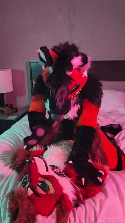 Watch me ride a hot fox 🔥🥵 | OF: NaughtyWoofs