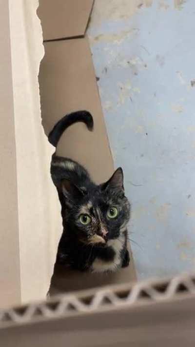 Moments before disaster