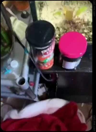 I really wanted to be a faucet when I grew up, but the man is always keeping me down. -snail probably