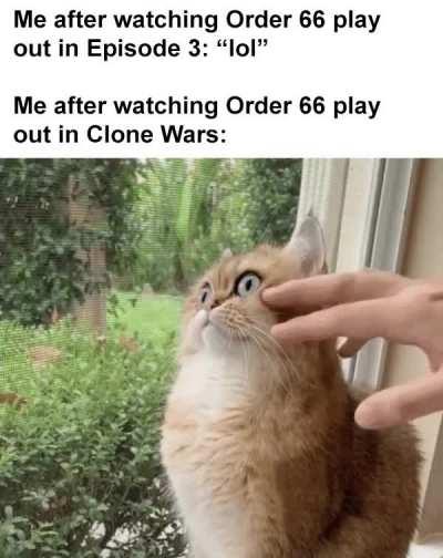 My innocence died during Order 66. . .
