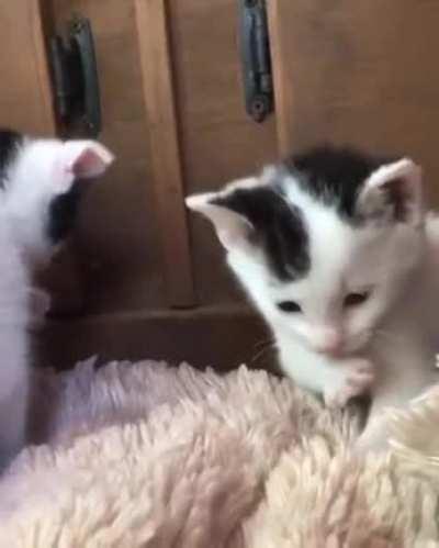 When you have no idea on how to do it but still try your best