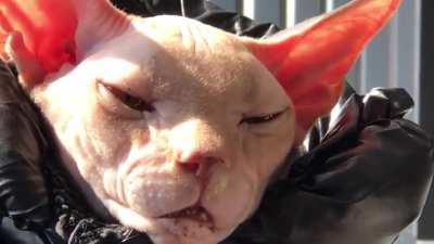 Oh god! Is that coat not warm enough? What is that?