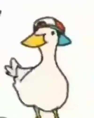 Ducks. Such magnificent creatures. Every week you see them swim, and you cry, for only ducks can truly perceive reality. Glorious ducks.