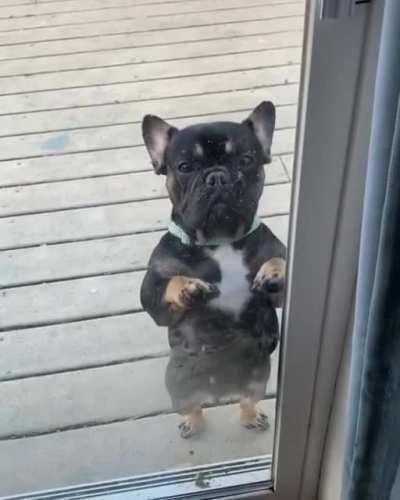 People deserve to watch this