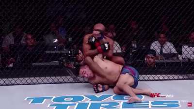 When art meets MMA. Is this your favorite submission?