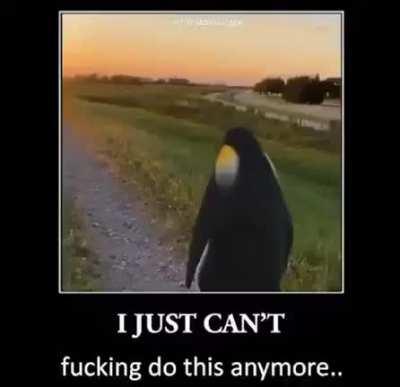 2meirl4meirl pengu