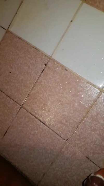 12 ropes after a long kambi chat with my Ex 😜