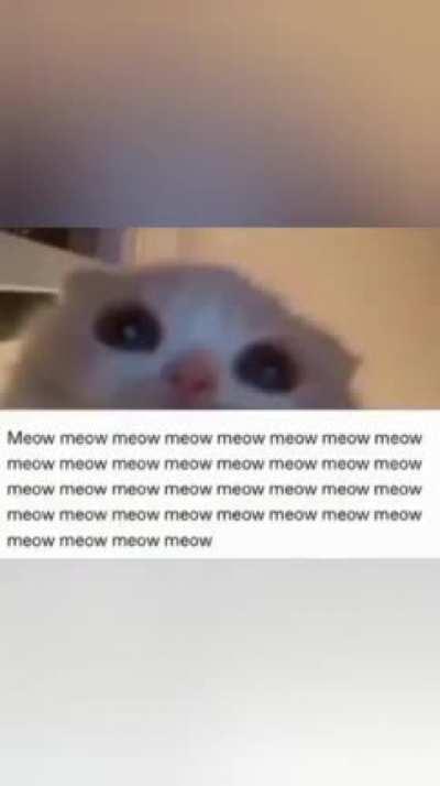 Click now too see BIG BOOBA