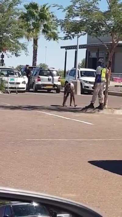 People, I give you... the human horse