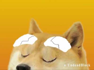 Funny Dog, get on the wacky mech now