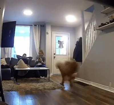 Still a pup at heart