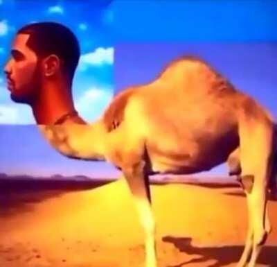 Dbaby = poopoo 😱😱😱🤮🤮دريك يتحول إلى جمل (حقيقي)