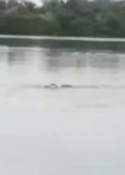 HMFT after i go swimming with some crocs