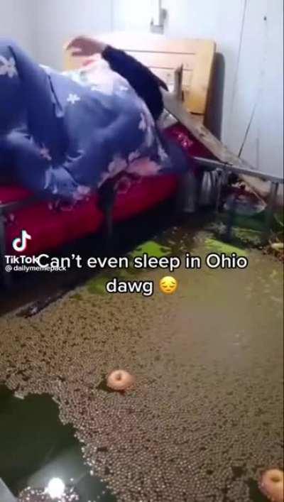 Why is there a donut? What’s going on? So many questions…