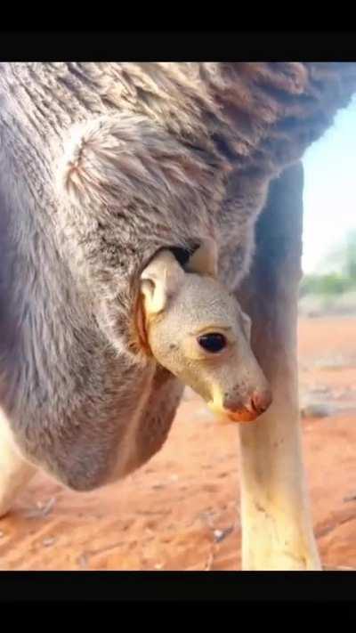 The mother worked hard and was patient