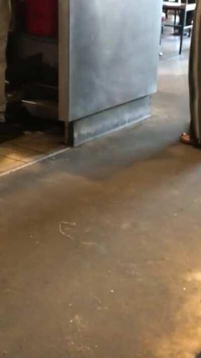 The Walk away had me like.....