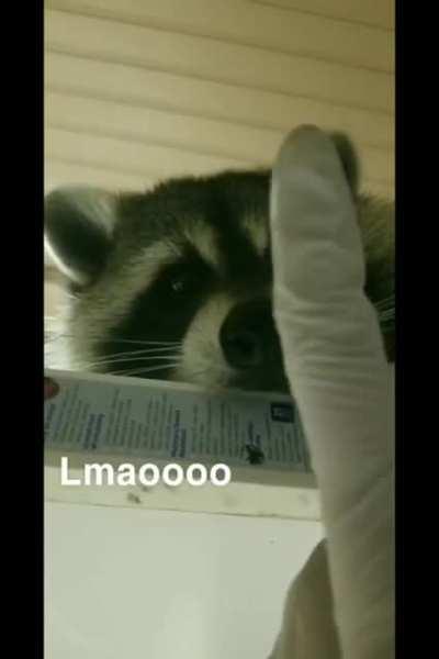 I dont have an explanation for this....