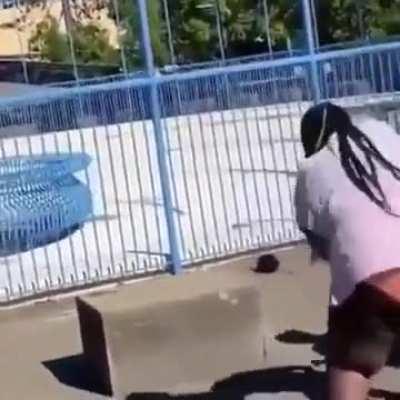 HMF just another Sea World family vacation