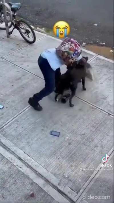 Kid tries to stop his dogs from mauling a smaller dog