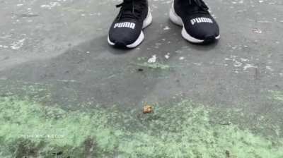 Something a little different.