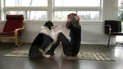 Doing Yoga with Downward Facing Doggo