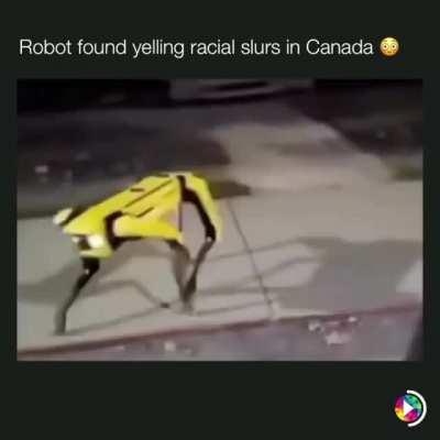 Racist bot running around in canada.