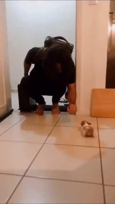 É tão pequetitinho...