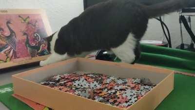 Action. Consequence.