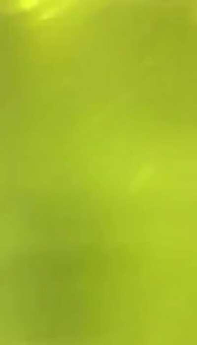 Two Girls at Toilet have Fun again