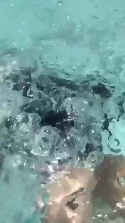 Titillating ✨😍✨