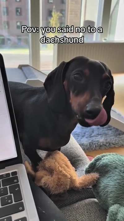 when the taxi was told no